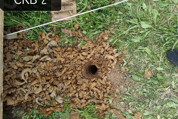 Инженерно-геологические изыскания для водопровода в Пскове